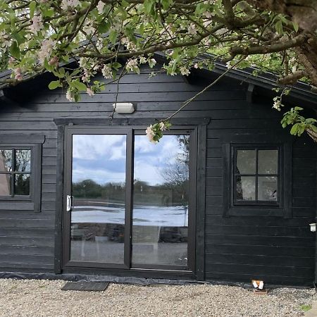 The Cosy Cabin By The Shore Galway Ngoại thất bức ảnh