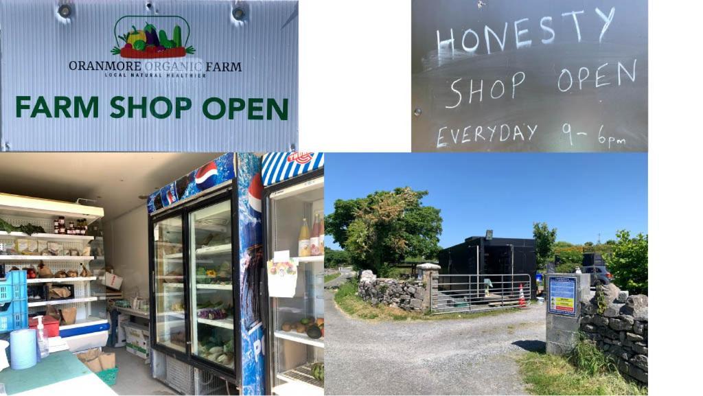 The Cosy Cabin By The Shore Galway Ngoại thất bức ảnh
